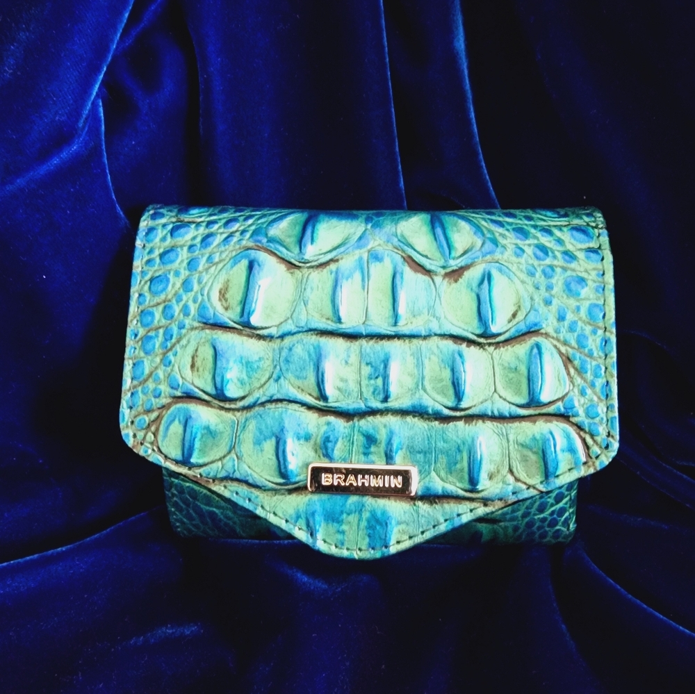 Brahmin wallet